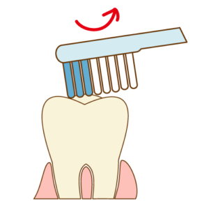 奥歯の磨き方